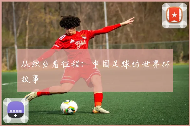 从积分看征程：中国足球的世界杯故事